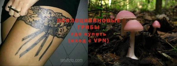 мяу мяу кристалл Иннополис