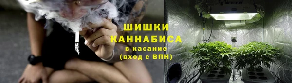 мяу мяу мука Инта