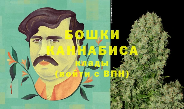 бутират Инсар