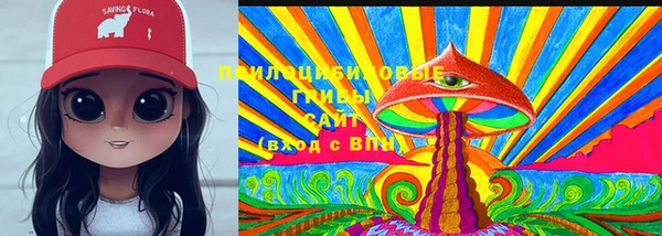 бутират Инсар