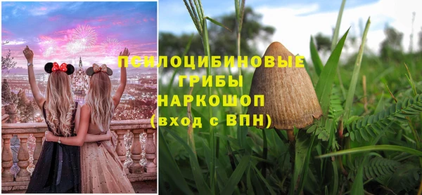 мяу мяу кристалл Иннополис