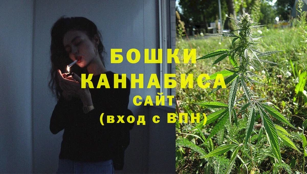 бутират Инсар