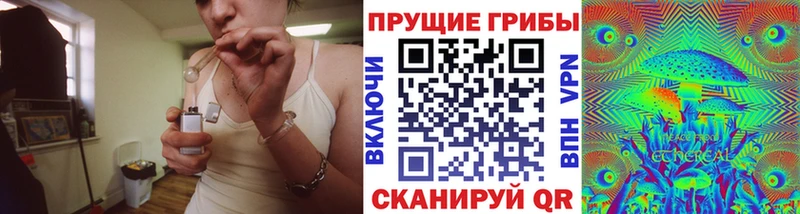 Псилоцибиновые грибы Psilocybine cubensis  Афипский 